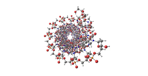 白で隔離デオキシリボ核酸 Dna の分子構造 — ストック写真