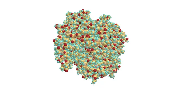 Molekulární struktura hemoglobinu izolovaných na bílém — Stock fotografie