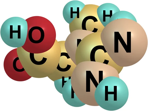 Estrutura molecular da creatina isolada sobre o branco — Fotografia de Stock