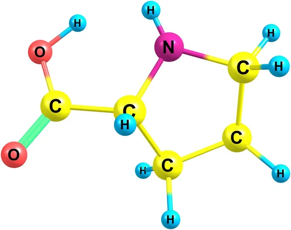 Moleculaire structuur Proline geïsoleerd op wit — Stockfoto