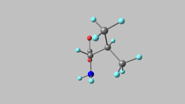 Valine Molecule Rotating Video Grey — Stock video