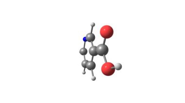 Niasin veya B3 vitamini molekülü dönen video