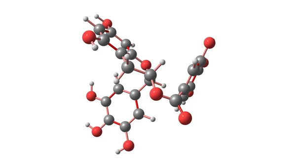 Galato Epigalocatequina Egcg Éster Epigalocatequina Ácido Gálico Tipo Catequina Ilustração — Fotografia de Stock