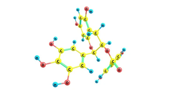 Galato Epigalocatequina Egcg Éster Epigalocatequina Ácido Gálico Tipo Catequina Ilustración —  Fotos de Stock