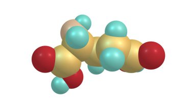 Glutamik asit, proteinlerin biyosentezinde yaşayan neredeyse tüm canlılar tarafından kullanılan bir alfa-amino asittir. 3d illüstrasyon