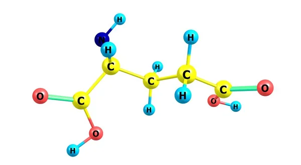 谷氨酸是一种 氨基酸 几乎所有生物都在蛋白质的生物合成中使用 3D说明 — 图库照片