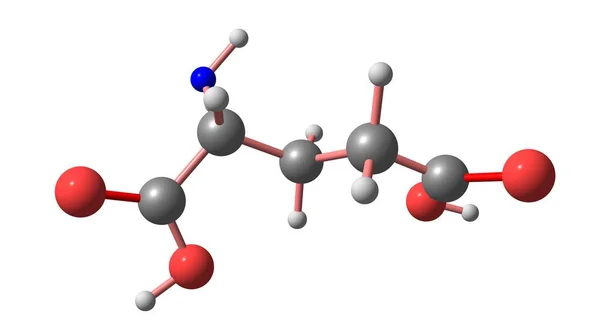 Glutaminsäure Ist Eine Alpha Aminosäure Die Von Fast Allen Lebewesen — Stockfoto