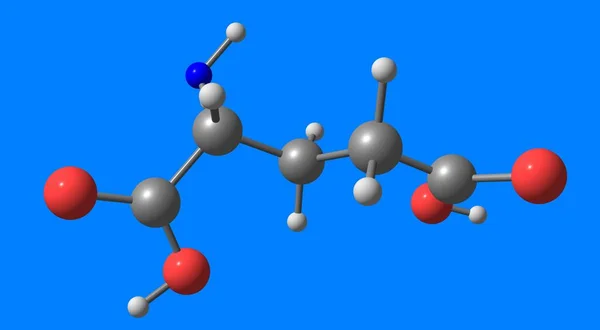 Glutamic Acid 단백질의 성에서 사용하는 아미노 산이다 — 스톡 사진