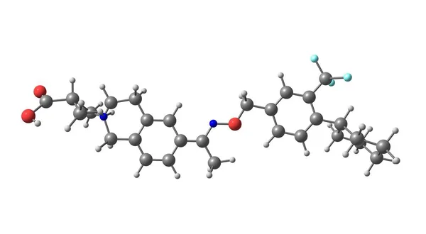 Siponimod Ist Ein Selektiver Sphingosin Phosphat Rezeptor Modulator Zur Oralen lizenzfreie Stockfotos