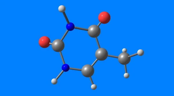 Thymine Pyrimidine Nucleobase Uracil Which Hydrogen Position Replaced Methyl Group — Stock Photo, Image