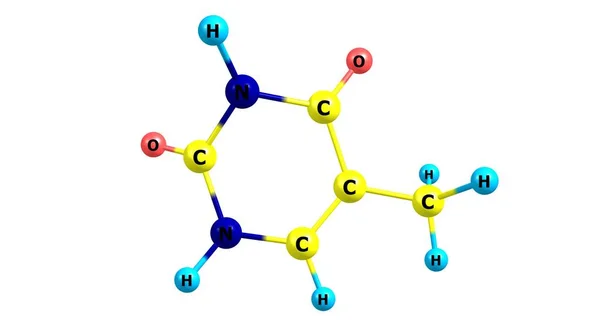 Thymin Ist Eine Pyrimidin Nukleobase Bei Der Der Wasserstoff Position — Stockfoto