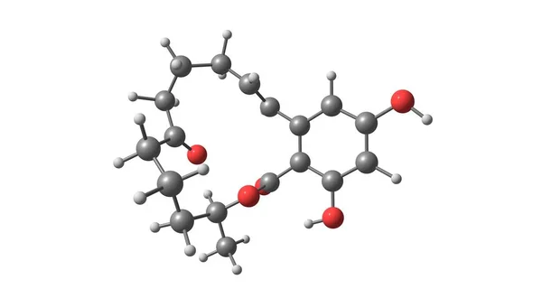 Zearalenone或Zen或Ral是一种强有力的雌激素代谢物 3D说明 — 图库照片
