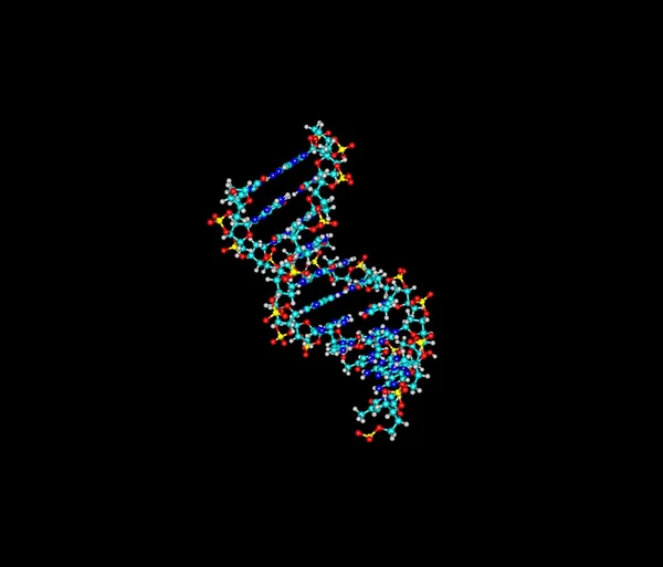 Молекула спіралі ДНК ізольована на чорному — стокове фото