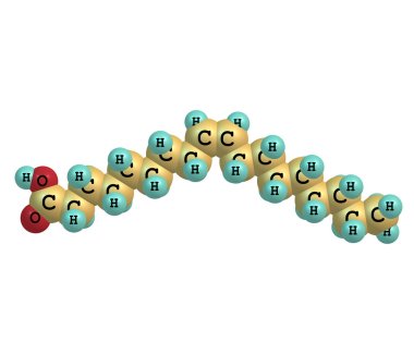 Oleic acid molecule isolated on white clipart