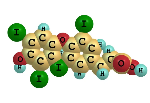 甲状腺素分子上白色孤立 — 图库照片