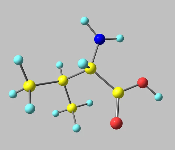 缬氨酸分子上灰色孤立 — 图库照片