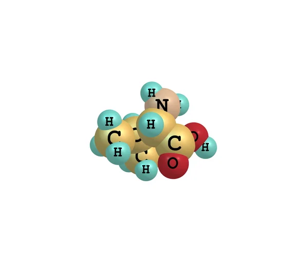 Valinmolekyl isolert på hvitt – stockfoto