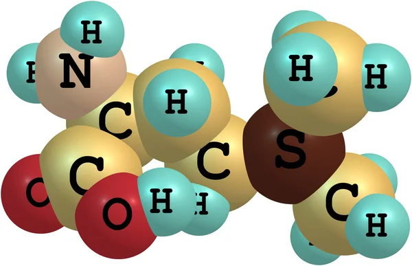 Vitamine U molecuul geïsoleerd op wit — Stockfoto