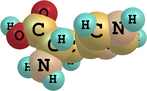 Molécula de ácido de histidina isolada sobre branco — Fotografia de Stock