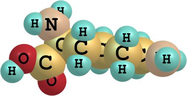 Lysine acid molecule isolated on white clipart