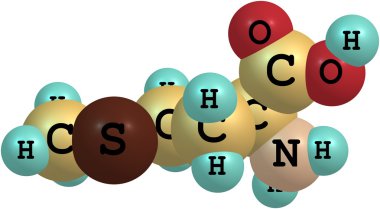 Metiyonin asit molekül üzerinde beyaz izole