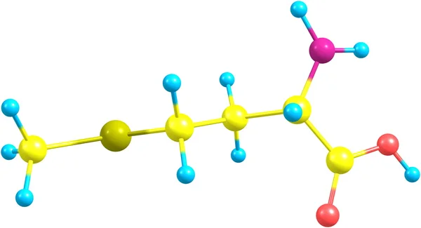 Methioninsäure-Molekül auf Weiß isoliert — Stockfoto