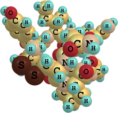 Oksitosin molekül üzerinde beyaz izole
