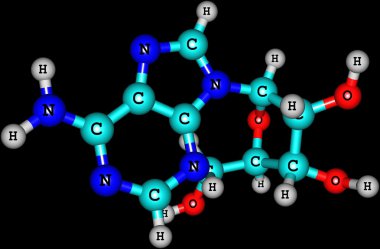 Adenosine molecule isolated on black clipart