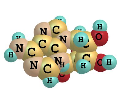 Adenozin molekül üzerinde beyaz izole