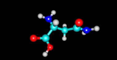 Siyah izole asparagine molekül