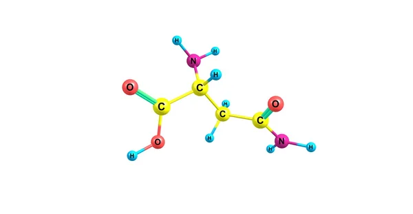 天冬酰胺分子上白色孤立 — 图库照片