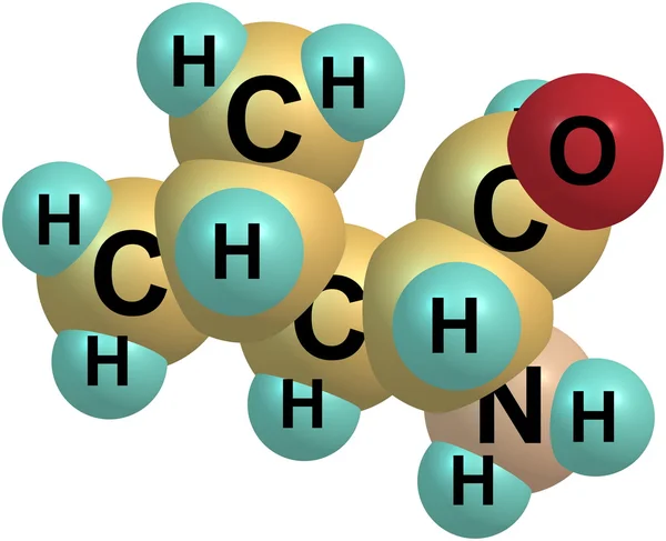 Estructura molecular de leucina sobre fondo blanco —  Fotos de Stock