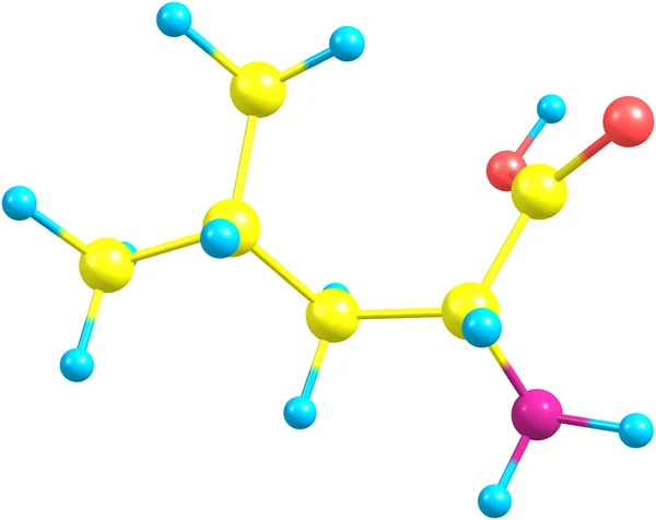 Estrutura molecular da leucina sobre fundo branco — Fotografia de Stock