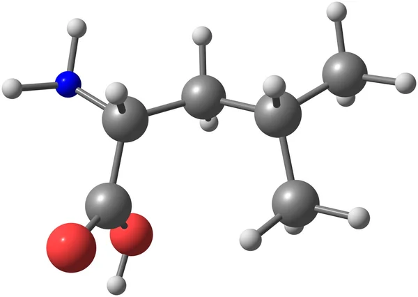 Leucine molekulare Struktur auf weißem Hintergrund Stockbild