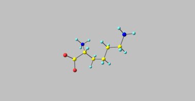 Lysine molecular structure isolated on grey clipart
