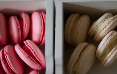 Bisküvi pembe ve Beyaz dizi düğün