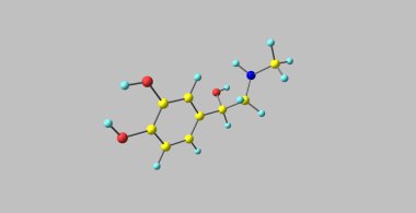 Gri izole adrenalin moleküler yapısı