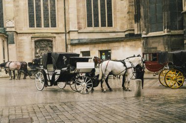 at arabası, Viyana, Avusturya 