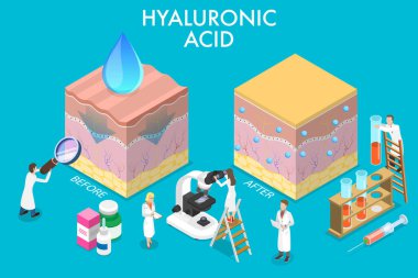 3 Boyutlu Isometric Hyaluronic Asitin Düz Vektör İllüstrasyonu.