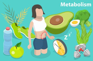 3 Boyutlu Isometric Düz Vektör İnsan Vücudunun Metabolizmasının Kavramsal İllüstrasyonu.