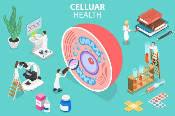 Illustrazione concettuale concettuale del vettore piatto isometrico 3D della salute cellulare. — Vettoriale Stock