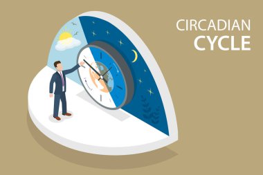 Circadian döngüsünün 3 boyutlu Isometric Düz Vektör Kavramsal İllüstrasyonu