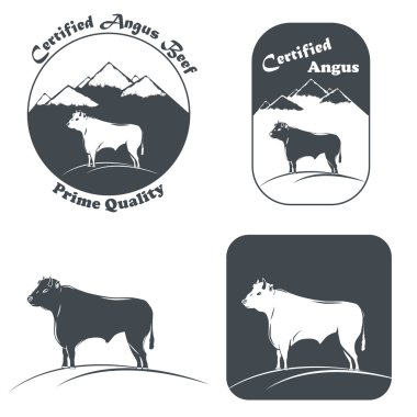 Angus Bull In White And Black. clipart