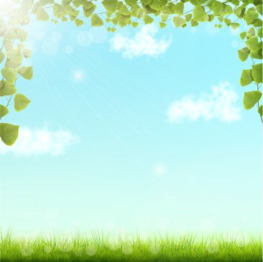 Yeşil mavi gökyüzü Bacground yapraklarda.