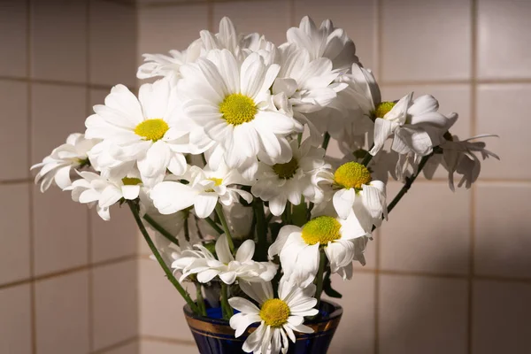 A bouquet of white daisies are in a blue vase. Some flowers have withered