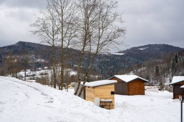 Ormandaki dağların eteğindeki ahşap binalar. Tustan. Karpatlar. Ukrayna
