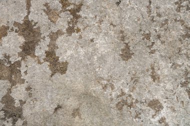 Yosun kaplı doğal taşın yaşlanmış arka planı. Tustan kalesinin kalıntıları. Karpatlar. Ukrayna