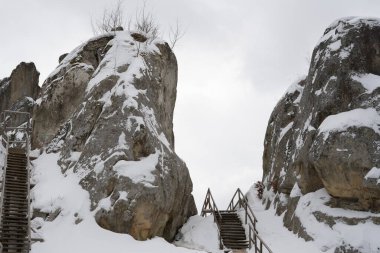 Yüksek uçurumlar antik bir kale ve kış ormanının kalıntılarıdır. Tustan. Karpatlar. Ukrayna.