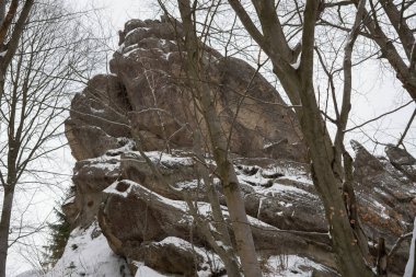 Yüksek uçurumlar antik bir kale ve kış ormanının kalıntılarıdır. Tustan. Karpatlar. Ukrayna.