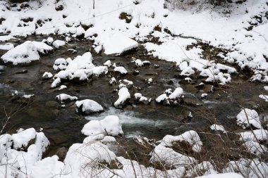 Kozalaklı orman, köknar ağaçları, kışın kardaki dağ deresi.